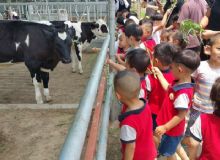 济宁市丙坤生态牧场中小学生研学基地介绍